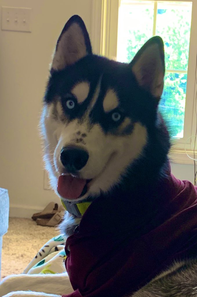 adams4_j's tweet photo. 🥰 https://t.co/bfKgaFSCme