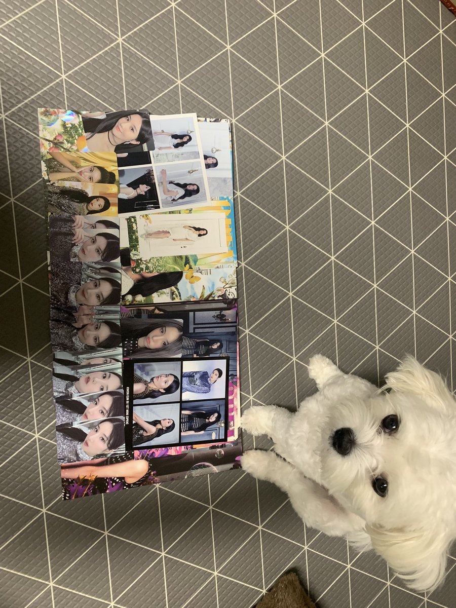 A_IZONE_CHAEW's tweet photo. #완벽해진_타이밍_지금_이_공간_은비와함께 #권은비 #KwonEunBi #OPEN #Dooor

🎉은비언니 첫 솔로앨범 너무 축하해..🎉
💖사랑하고 앞으로도 꽃길만 걷자💖 https://t.co/AGmucMRWPs