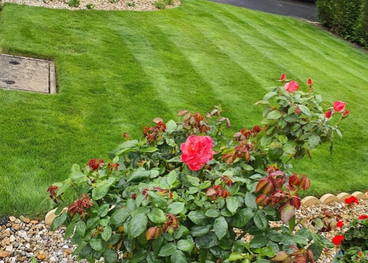GSWetherby's tweet photo. Even small lawn benefit from out attention. Get in touch and lets see how we can help you improve your lawn.
01924863232 https://t.co/2Irffjufbm