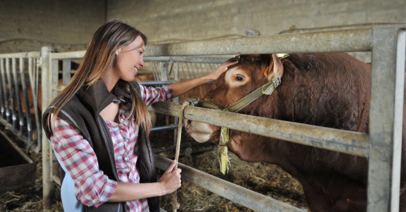 SentidoVacuno's tweet photo. La profesión de la #ganadería no depende del género, sino de la pasión y vocación por el cuidado y #bienestaranimal 🙌. #MujerRural #ganaderos #ganaderas https://t.co/eFbN5TTclG