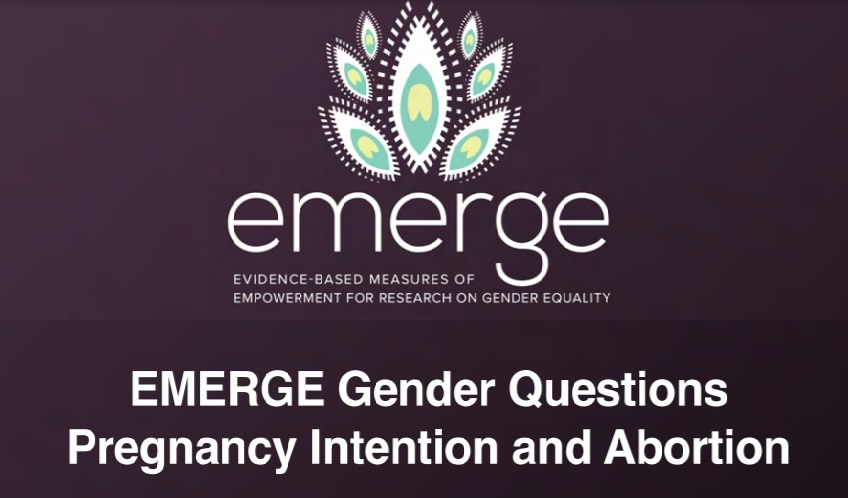 Know more on the measurement of women’s agency and #gender norms as they relate to #pregnancy intention and #abortion in our new module
👉 bit.ly/UCSD
#SDG5 #SRHR @GEH_UCSD #FamilyPlanning @EdwinEThomas @gendereddata @AnitaRajUCSD @BhanNandita @pawsitivetales_