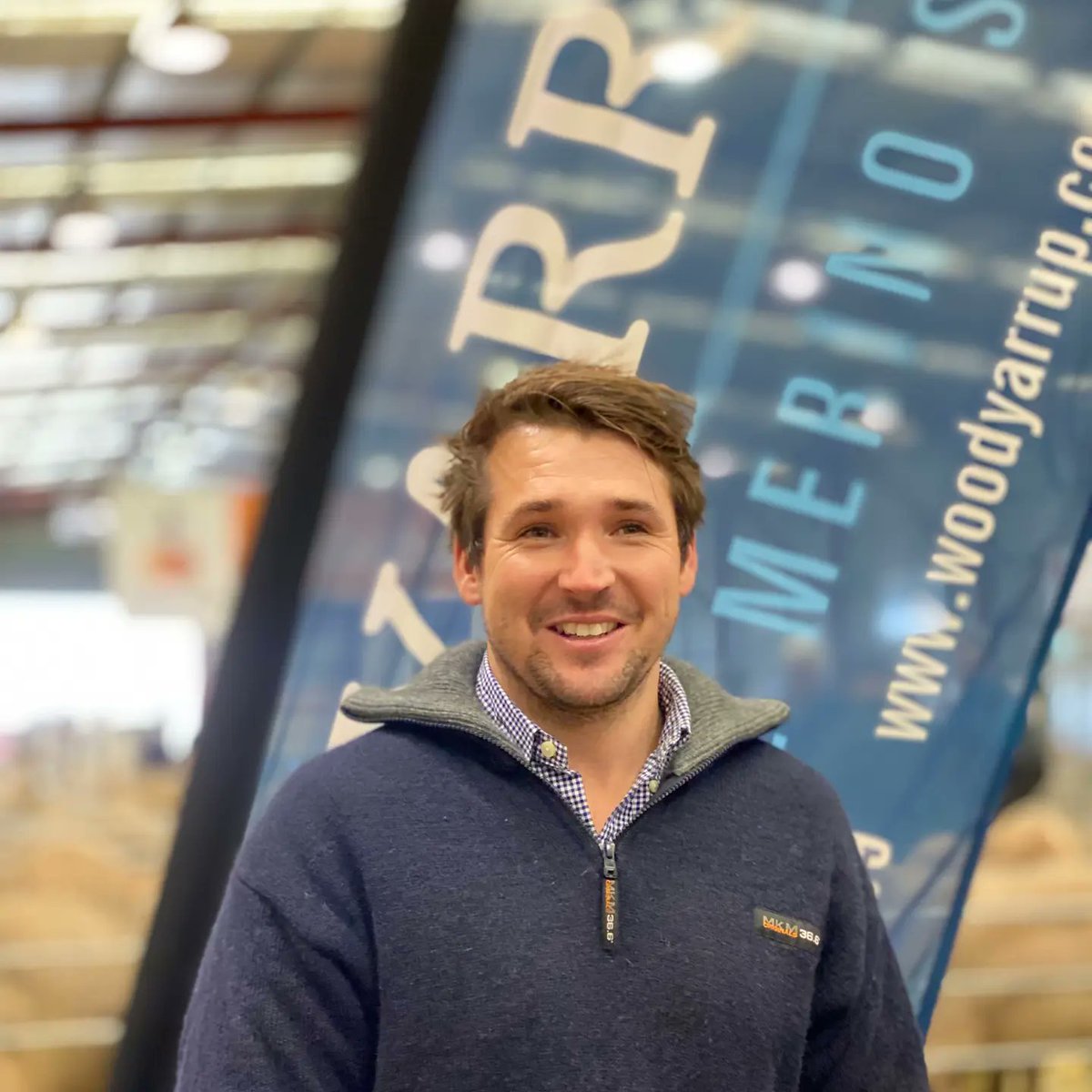 Premium Merino & Poll Genetics tweet media