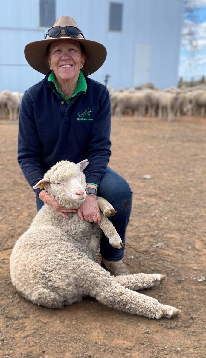 WoolProducers Blog bit.ly/3mN370j
With Ram Sale season here Independent Director Stacey Lugsdin  shares her thoughts in #ASBVs and #EIDs and the contribution that they can make to profitability and productivity in your #wool business. <a href="/woolinnovation/">Australian Wool Innovation</a> <a href="/meatlivestock/">Meat & Livestock Australia</a>