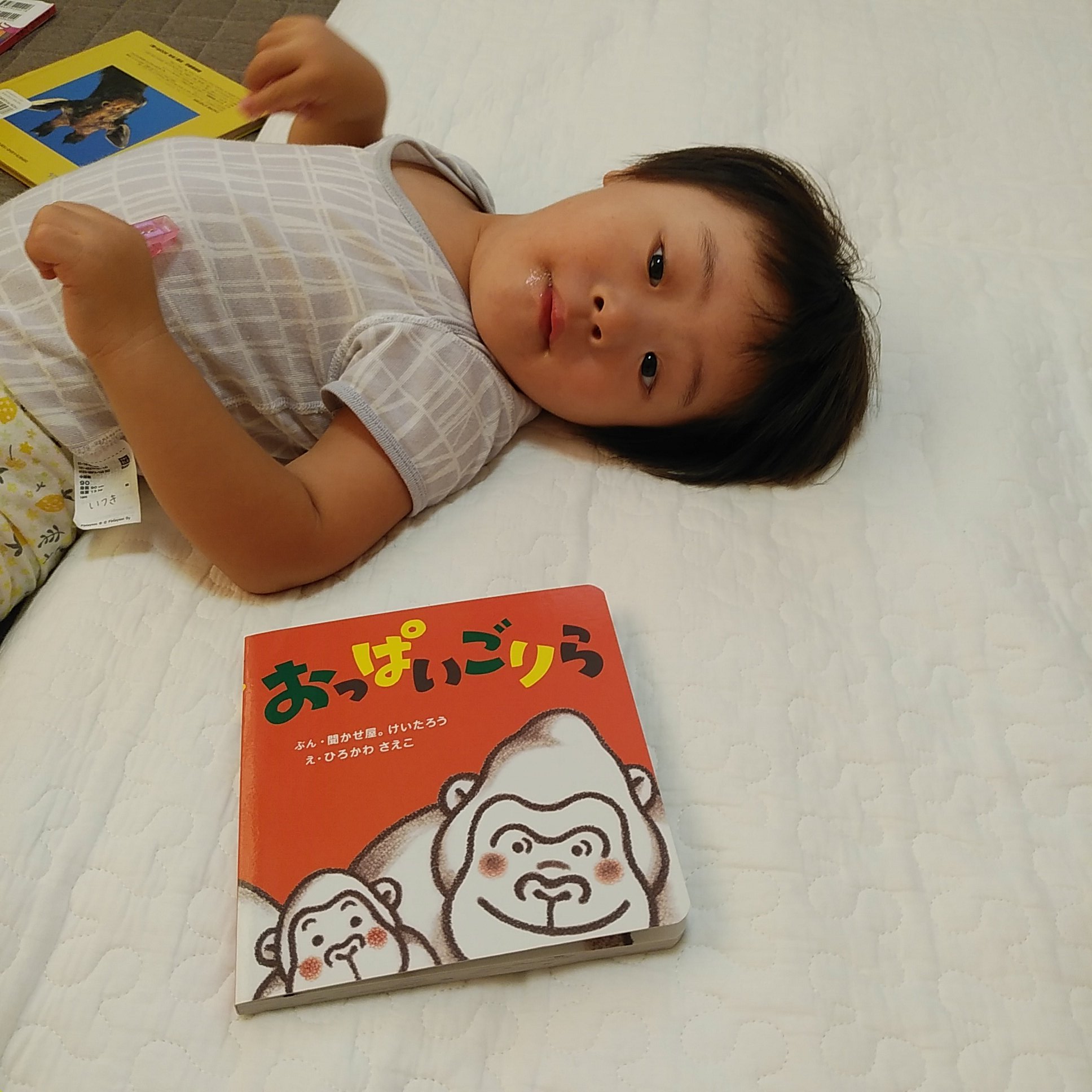 おっぱいごりら Twitter Search Twitter