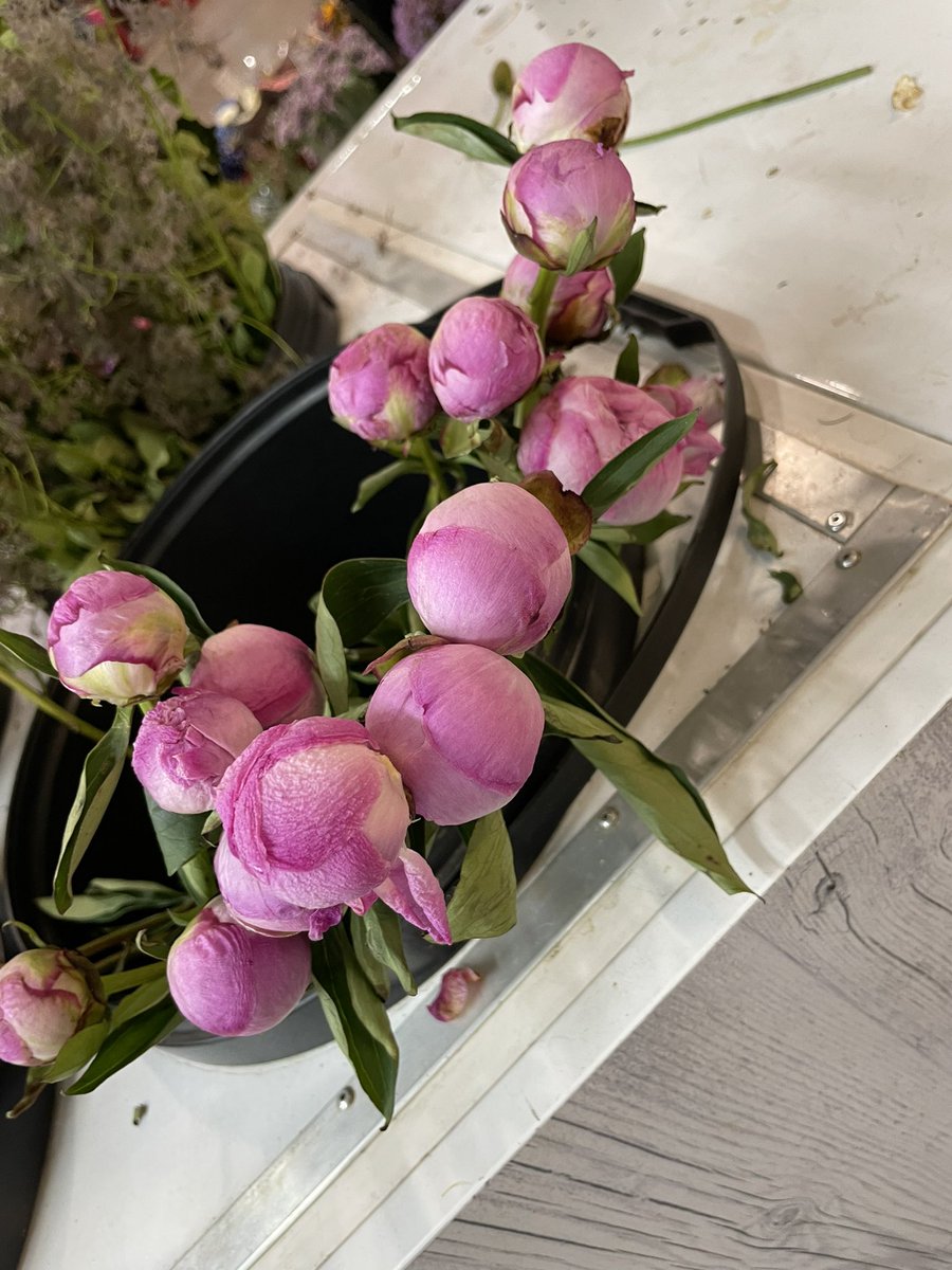flowetrysa's tweet photo. Peonies Pretty in Pink. The perfect way to make someone’s day 🥰🌸 get a bunch delivered to your Love 💕 https://t.co/GQ5Bbwl7EF