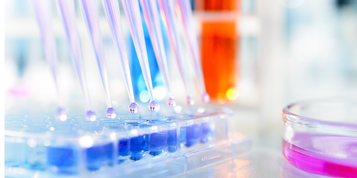 Steffi Dondit tweet media