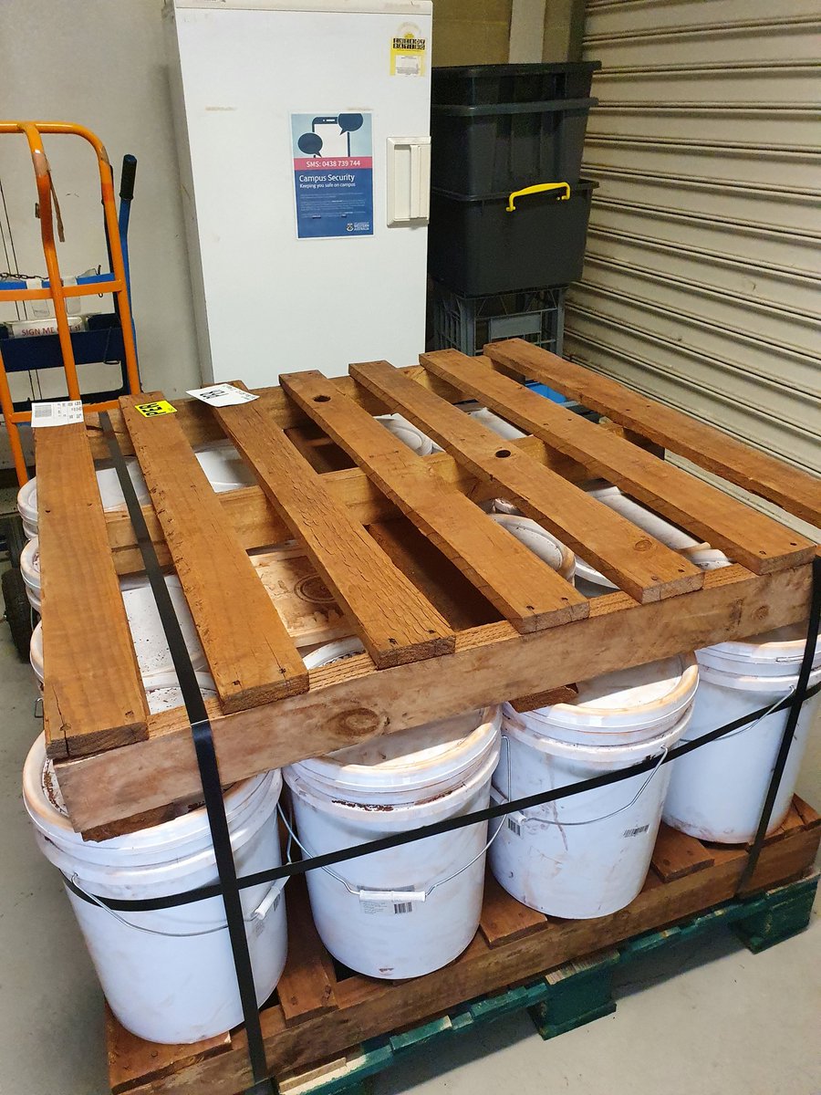 mharang28's tweet photo. How exciting! Today I received the material for my dissertation 😊 #soilscience #environmentalscience #wasterock #mining #rehabilitation #uwa https://t.co/DlbdpFF2MS