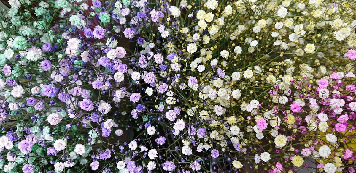 花空間 花空間