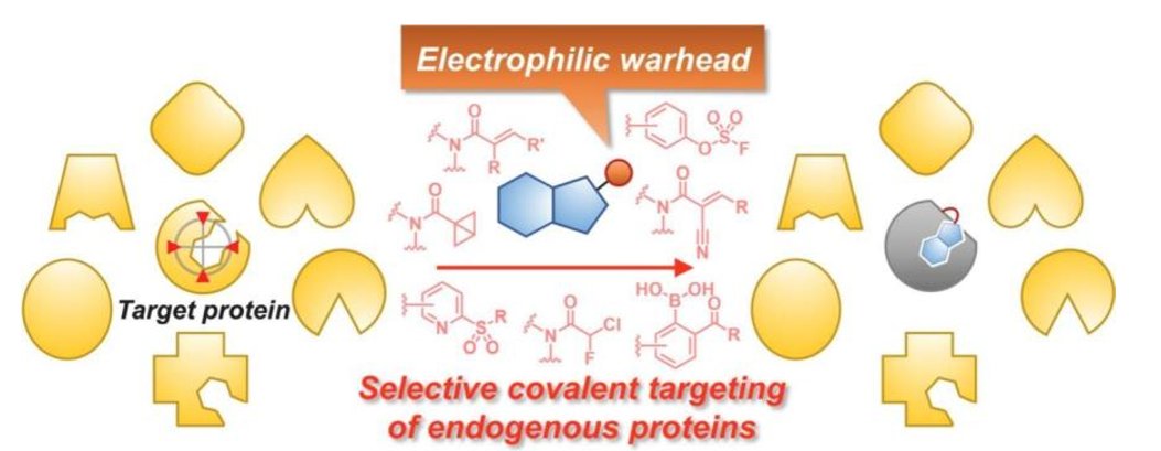 A great review on recent progress in chemistry for selective covalent targeting of proteins and their applications in targeted covalent inhibitor designs 

cutt.ly/kWjC49O

#drugdiscovery #openscience #covalentinhibitors #protein
