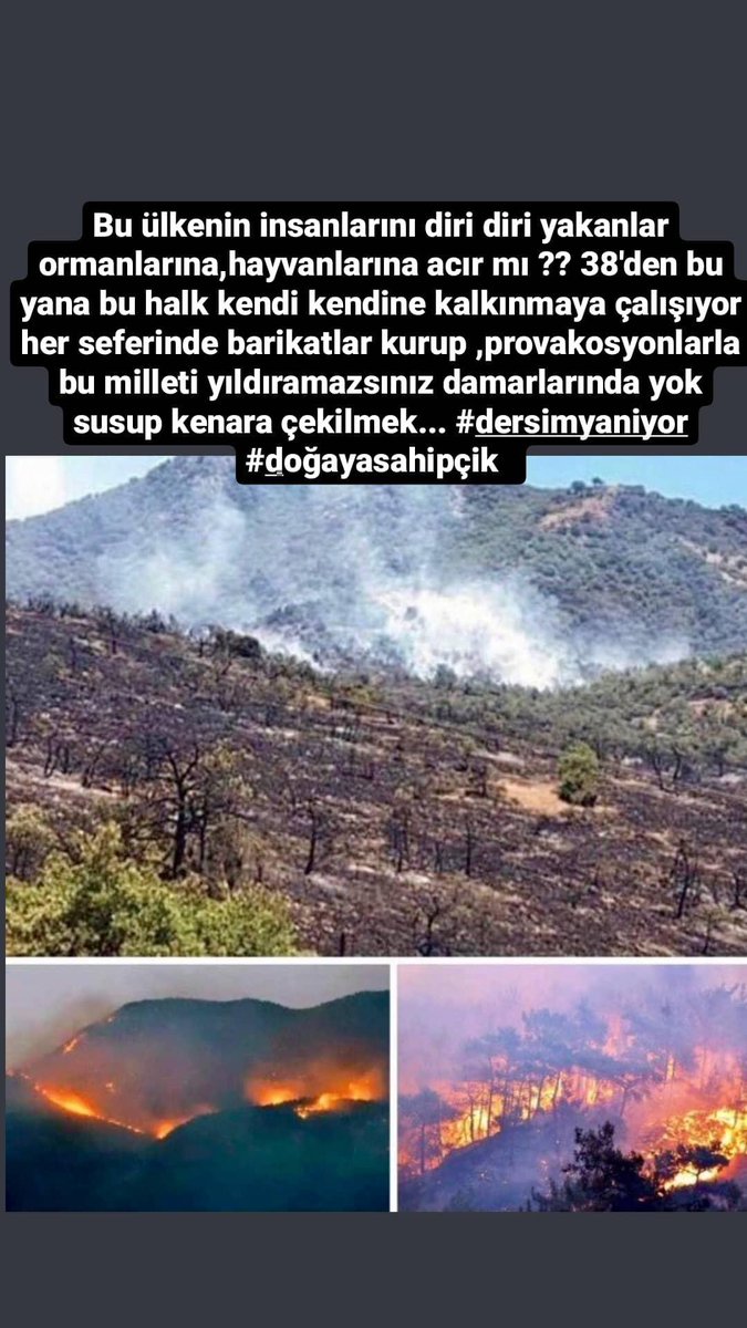 #FerhanSensoy #DersimYaniyorSesVer #DersimYaniyor