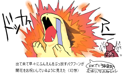 ネクリーナー Kotukotunattu Twitter