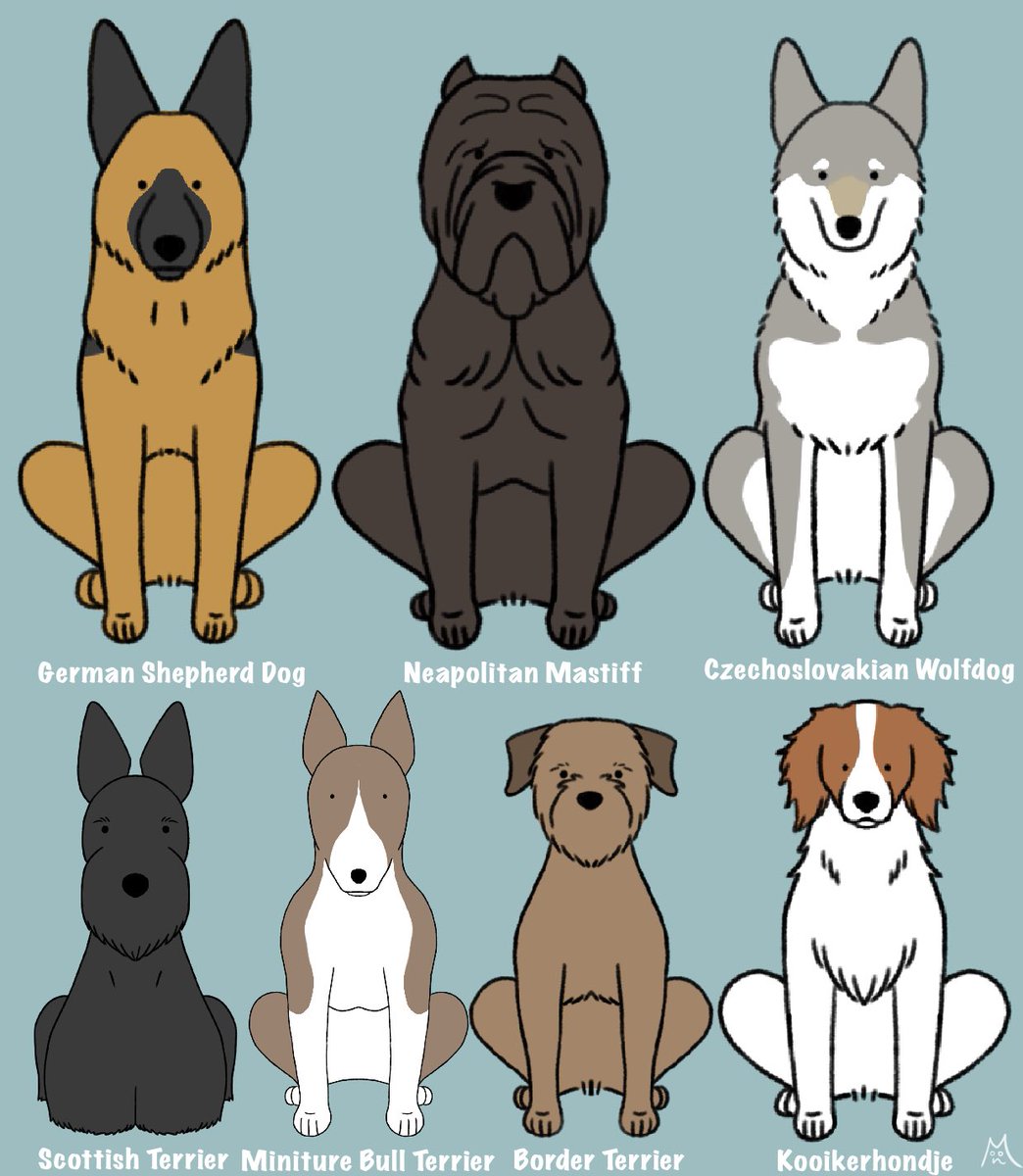 Twoucan 犬種 の注目ツイート イラスト マンガ