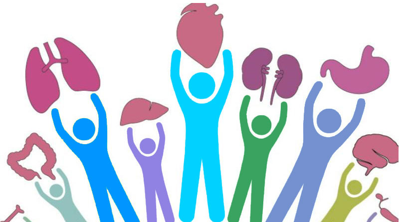 listadeesperaec's tweet photo. Tenemos ESPERANZA.
La #DonaciónDeOrganos, sangre y tejidos es fuente de vida, cuando la tristeza de la muerte deja paso a la esperanza de la vida.

¡Informa a tu familia tu deseo de ser donante!
#SinDonantesNoHayTrasplantes
#DonarSalvaVidas
#SoyDonanteYMiFamiliaLoSabe https://t.co/mUIlEoTypZ
