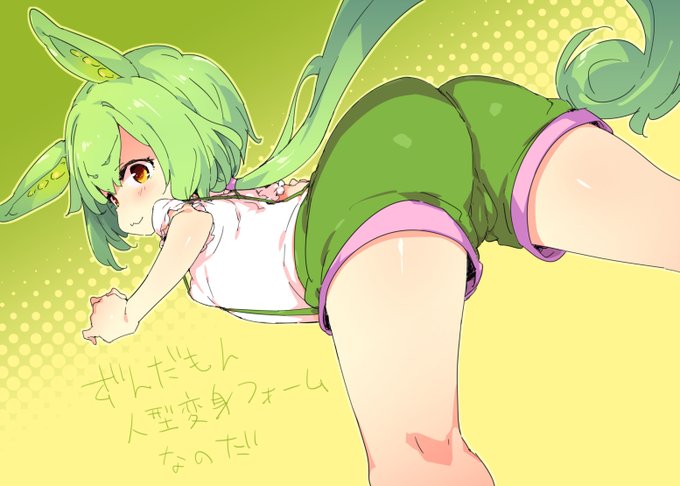 ずんだもんとコッショリおまけ 