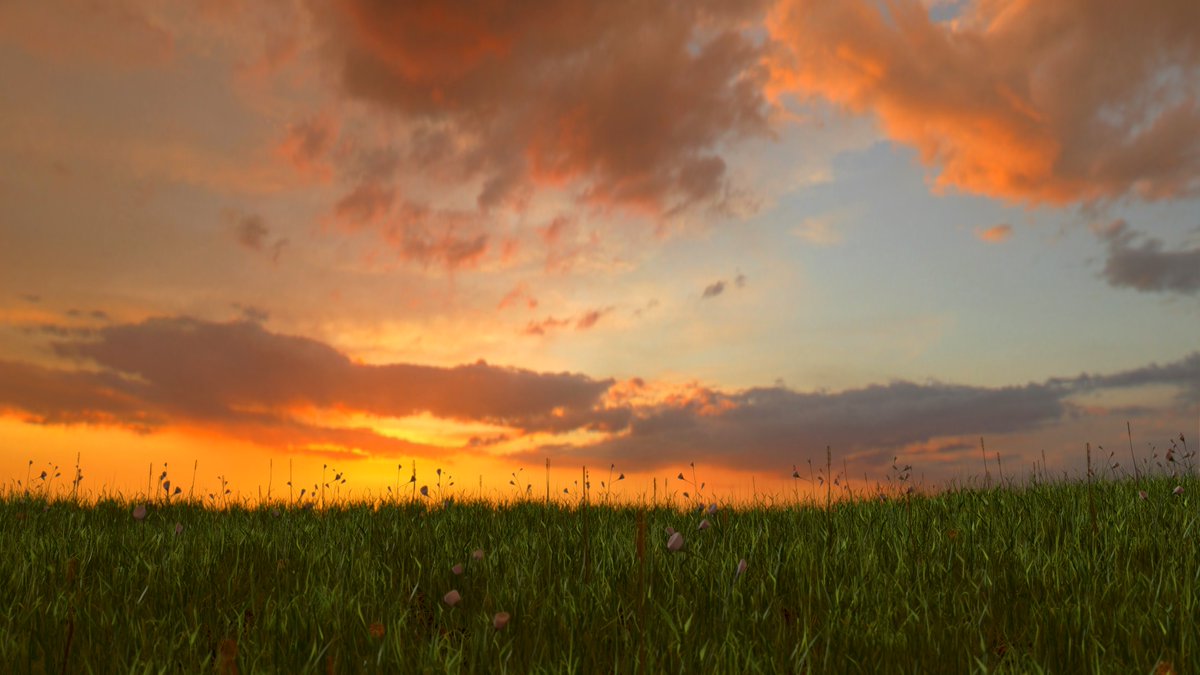 RupeshSrh's tweet photo. Beautiful nature

#beautiful  #b3d  #blender  #Blender3D  #blenderrender  #Eevee  #BlenderEevee  #NaturePhotography  #nature  #photorealism #blendernature https://t.co/3hlvsglwsW