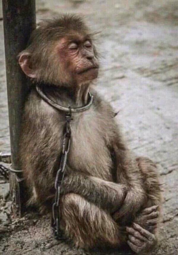 Please come back ekhaya #khanyi because omunye umutwana akekho right 🙄 uzophinda ohambe futhi Friday tuuu 🙄