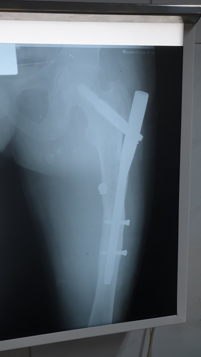 soliman ibraheem tweet media