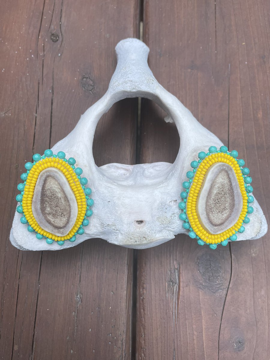 Missphebeb's tweet photo. @traceydeer I have these available atm. Ivory centers and caribou antler centers. I love this post btw, Nakurmiik. So much talent. https://t.co/EU6ZXvbkTK