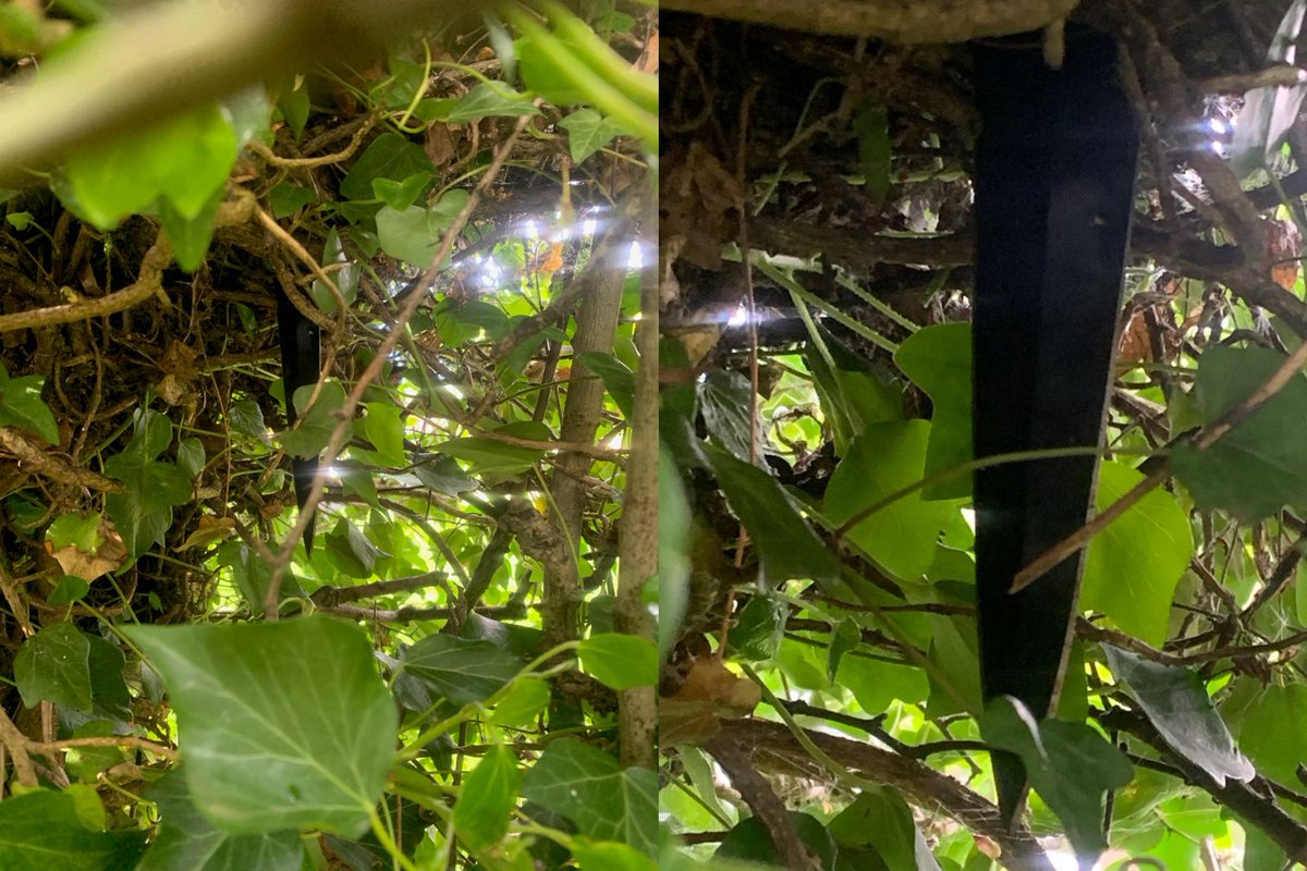 Knife found in nearby bushes