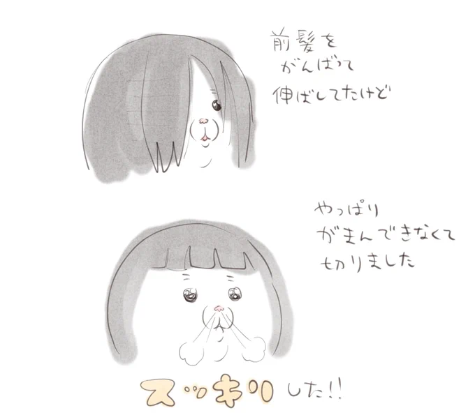 報告 