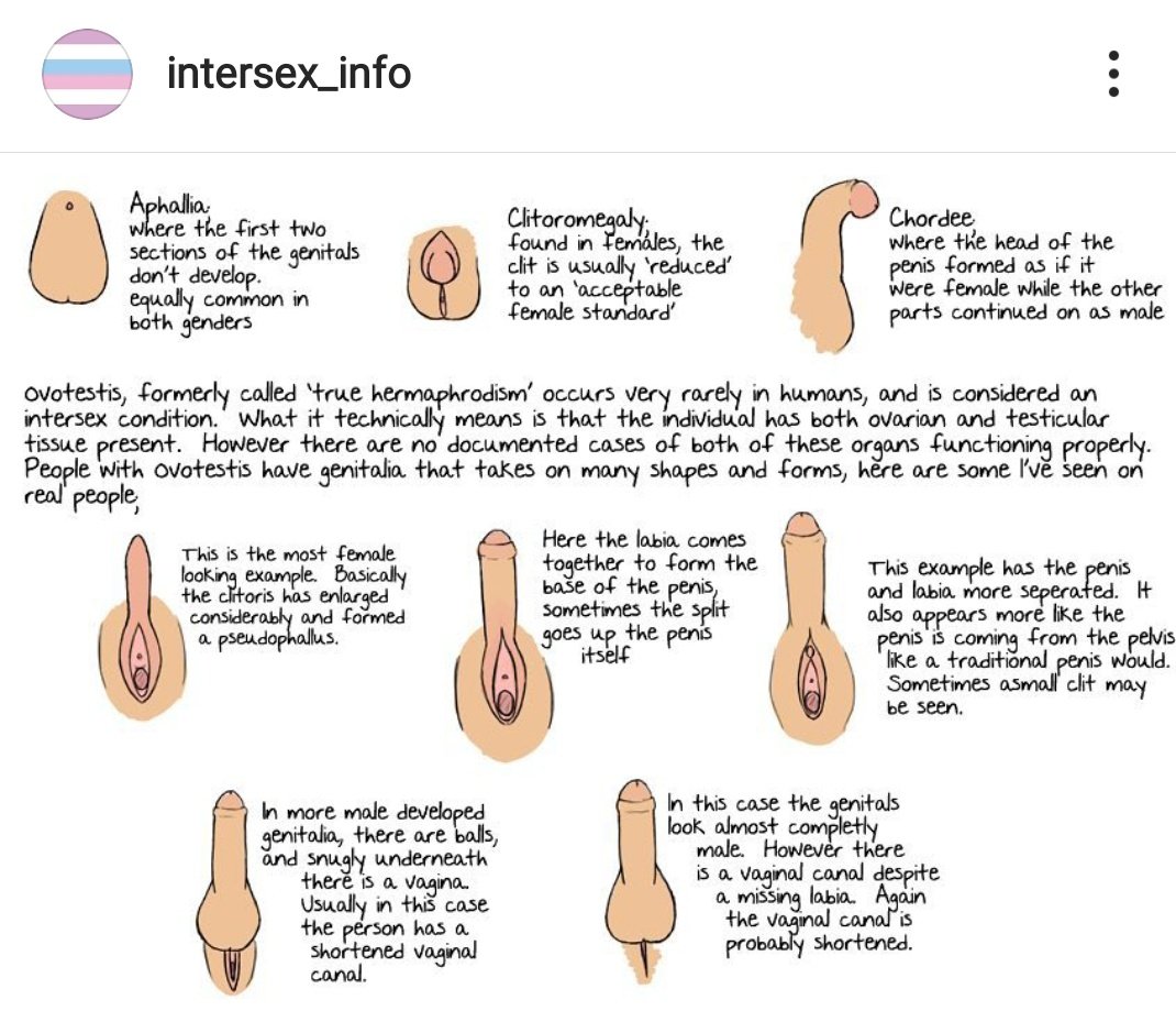 Шұлықтағы қызыл бастары бар порно