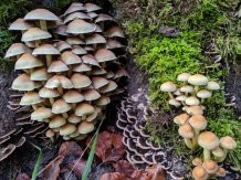 UofE_Research's tweet photo. The #impact of nitrogen #pollution on the #environment is poorly understood new #research study warns. https://t.co/limvvUR0Ey You can read the article by @GSI_Exeter’s Prof Dan Bebber (@DanBebber) in @STOTEN_journal https://t.co/sGrk063yTT #ExeterEI https://t.co/KBUQIbgv6y