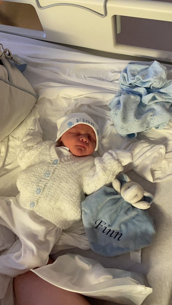 Can’t get over this wee guy, far too precious💙💙