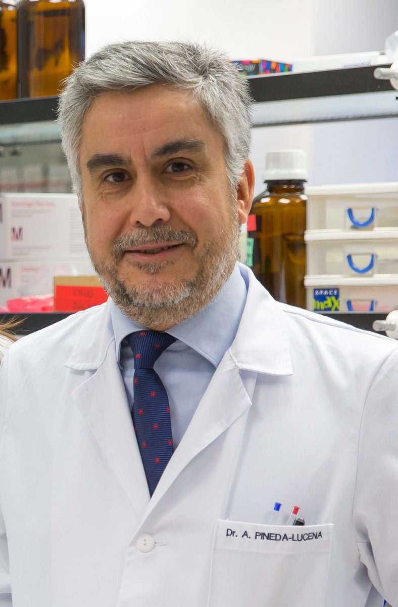 CIMA_unav's tweet photo. "Nuestro objetivo es realizar un estudio multi-ómico de la #microbiota que nos permita analizar su papel en procesos digestivos, autoinmunes, oncológicos, etc.", explica el Dr. @apinedalucena, coordinador del #ProyectoMicrobiomics https://t.co/iYRTXqH3uM