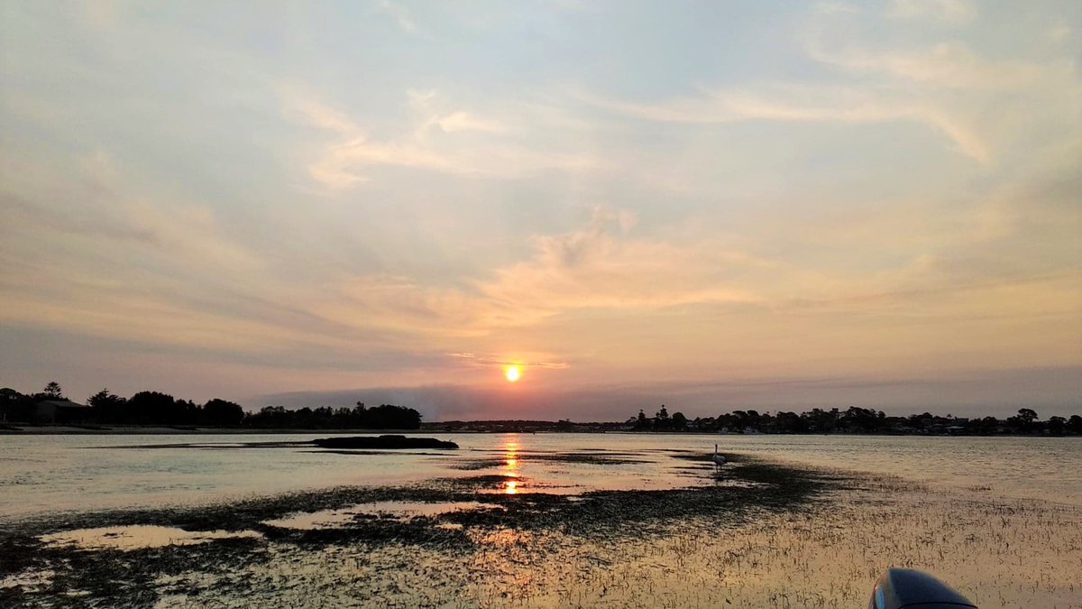 themarinediary's tweet image. Time for us to sign off, we hope you’ve enjoyed meeting our research team and learning about #shellfishreefs down under! 👋To hear more about our work, follow us at @harbourprogram or check out the work of other Australian oyster researchers @OysterReefs @elliot_scanes @seapross