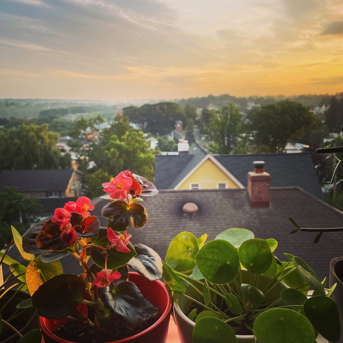 Good morning from #tuckahoeny! 🌞