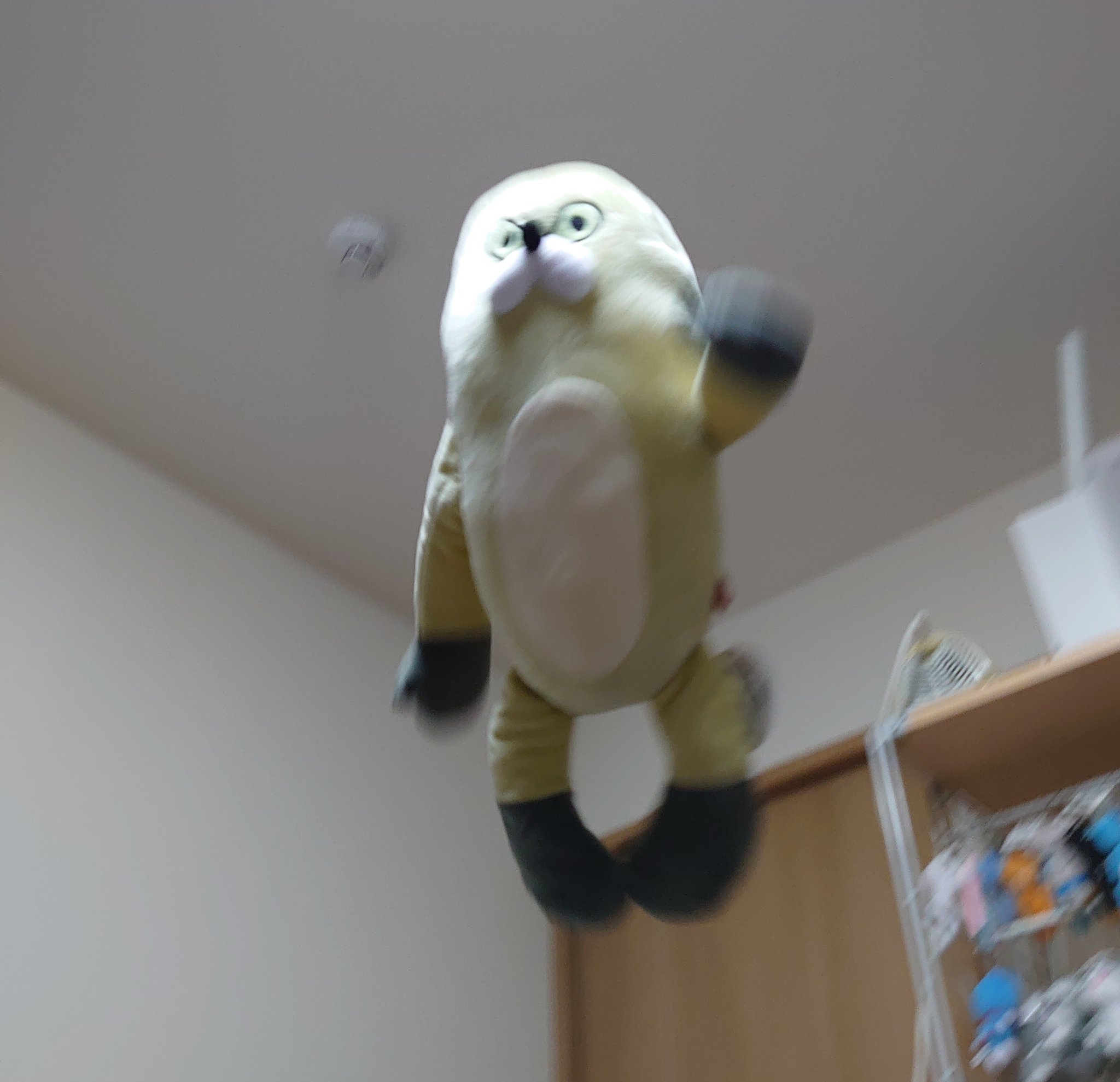 ムジーナ BIGぬいぐるみ くまみね ビックぬいぐるみ BIG ぬいぐるみ非売品 ムジーナぬいぐるみ（おっきい） | くまみね民芸 通販部