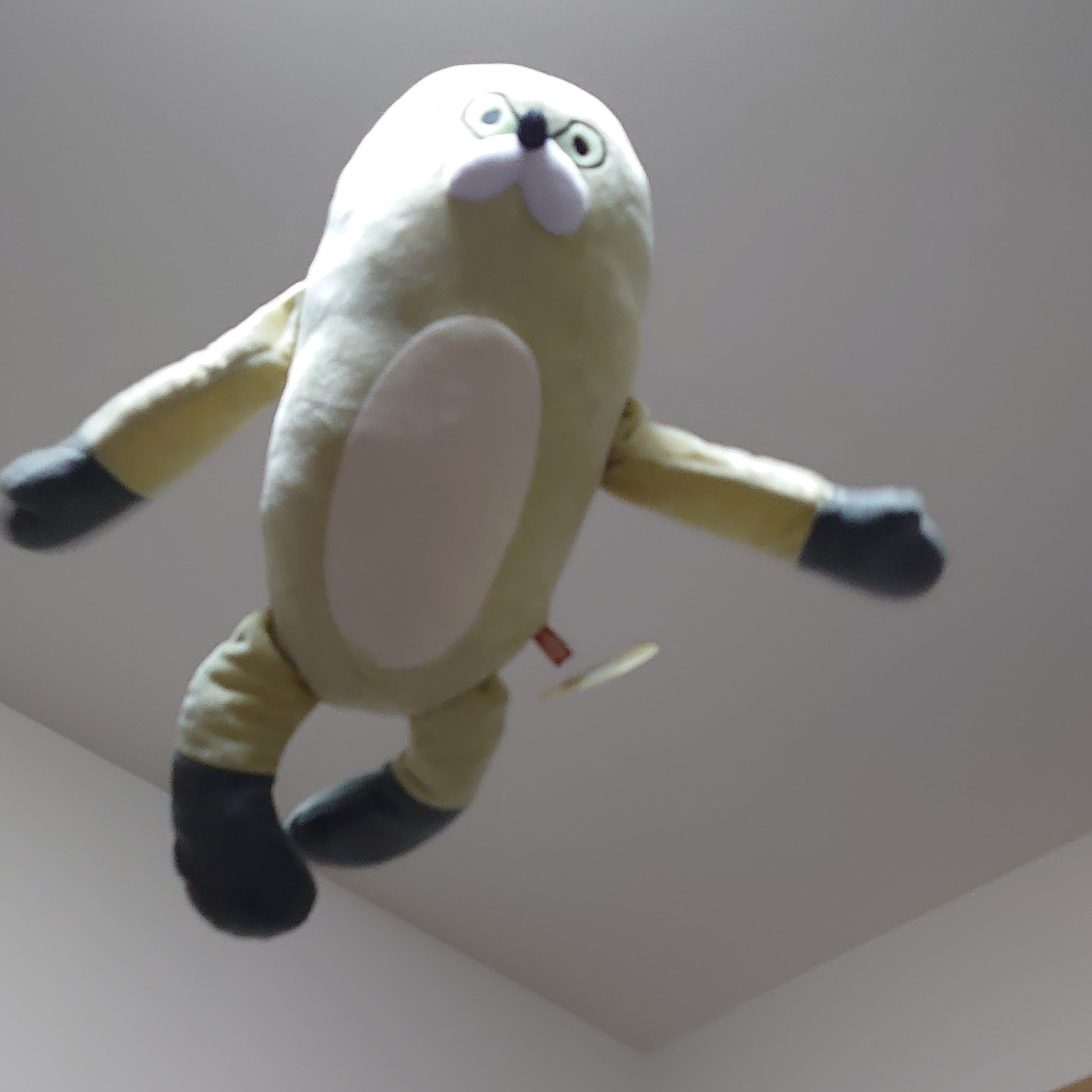 くまみね on X: 