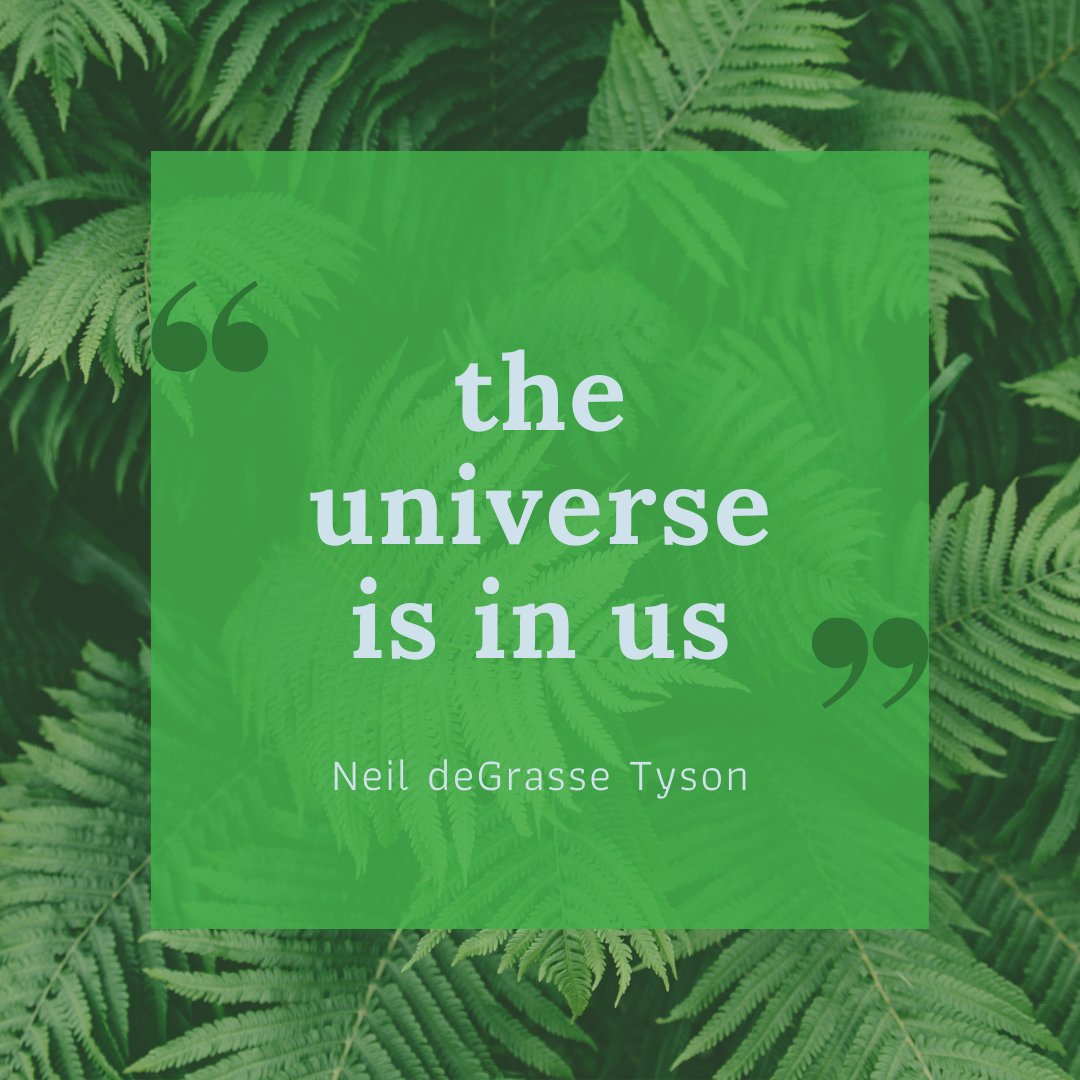 We are part of this universe; we are in this universe, but perhaps more important than both of those facts, is that the universe is in us.

#jigsawpuzzle #qualitytime #momentsofmagic #familytime #puzzles #learningisfun #makelearningfun