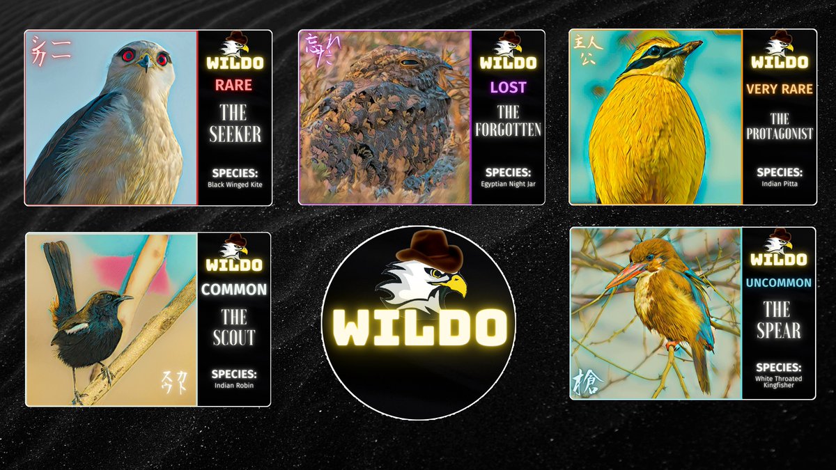 Wildo Cards tweet media