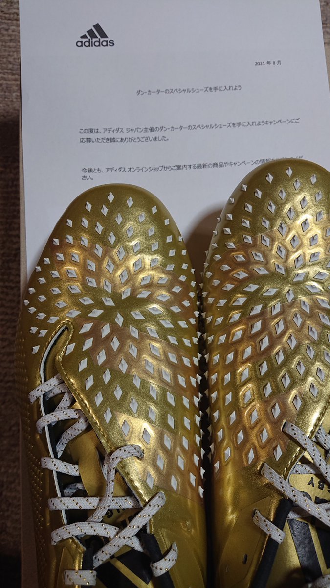 新品 未使用品 ダン カータースペシャルシューズ