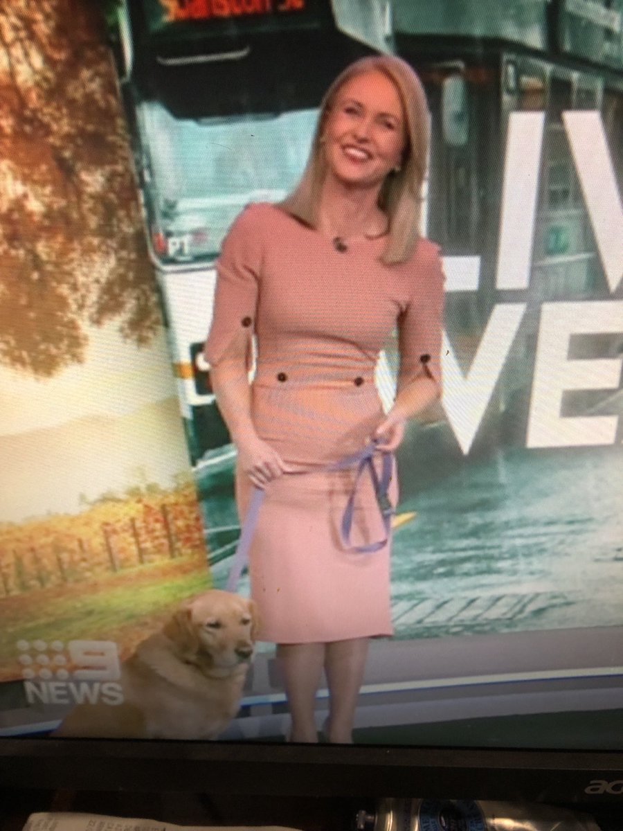 Thank you ⁦⁦<a href="/LNixon9/">Livinia Nixon</a>⁩ for bringing your beautiful Hannah to work tonight! Woofs and wags to you both 😻🦮