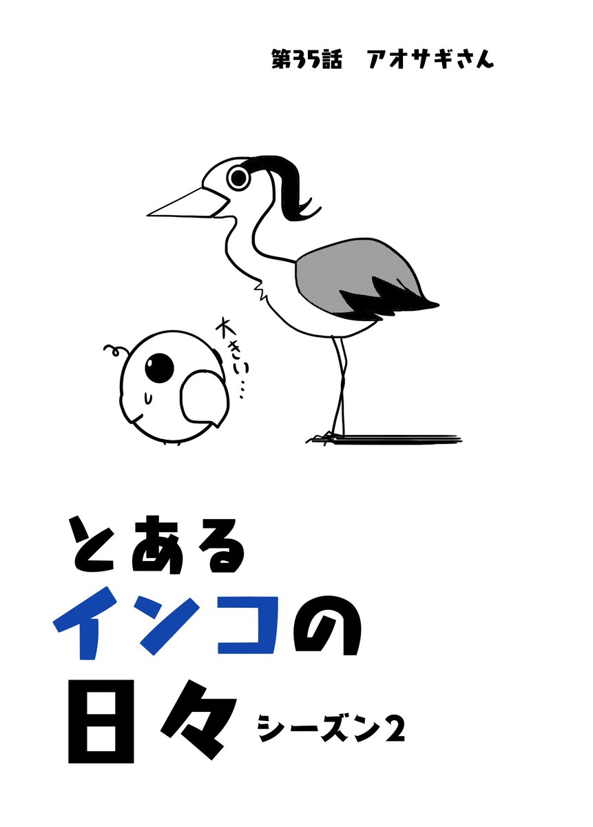 『とあるインコの日々』 34話 

#インコ #4コマ漫画 #漫画が読めるハッシュタグ 
#創作漫画  #鳥 