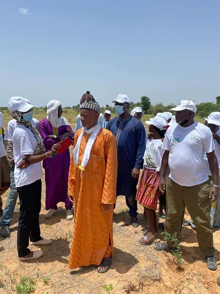 asergmv's tweet image. La Grande Muraille verte à Mbar Toubab 
Dans le cadre toujours de la mise en œuvre de la campagne nationale de reboisement à la grande muraille verte, un nouveau chantier de reboisement a démarré à Mbar Toubab dans la commune de Syer. 
 #kebetu #senegalvert #pse_vert