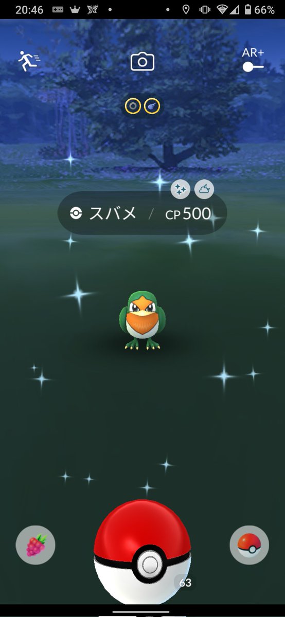 ポケモンgo スバメの色違い 入手方法と実装状況 攻略大百科