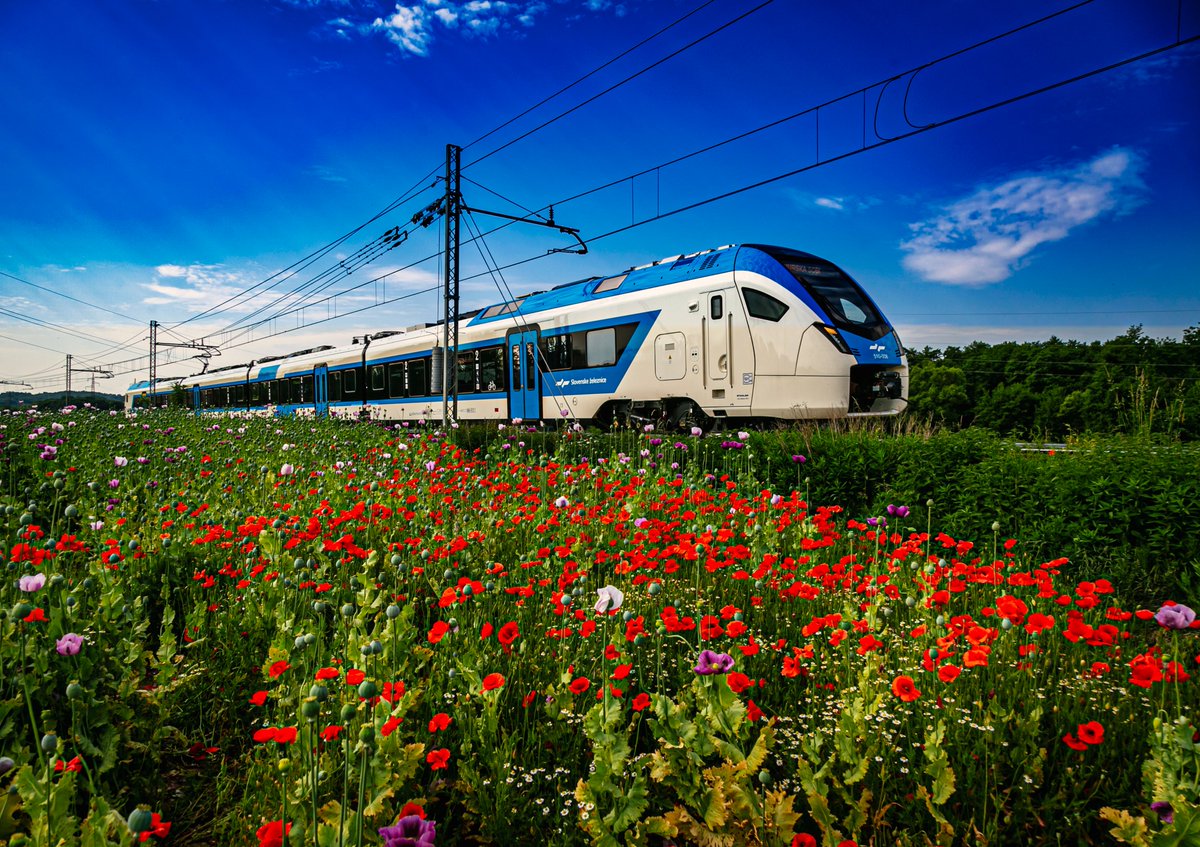 Rail_Info_SLO's tweet photo. Flirt pri Ljutomeru 💓 Poletje 2021 na SŽ ➡️ https://t.co/iuQCrZvOfY #zeleznice #slovenia #Slovenskezeleznice #poletje2021 https://t.co/3fuOoPZ824
