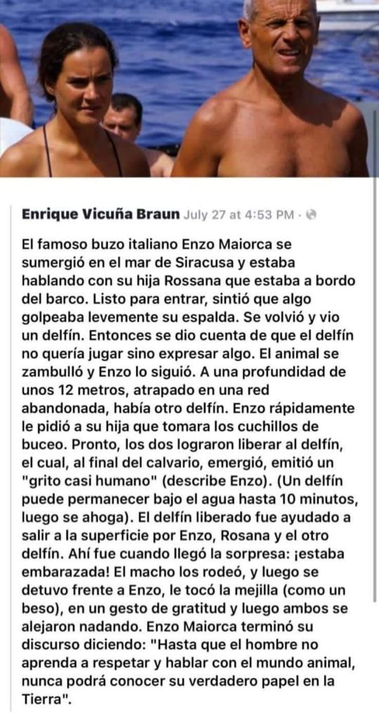 Tremenda lección de vida!! Protección a la especie! 🙏🙏🙏