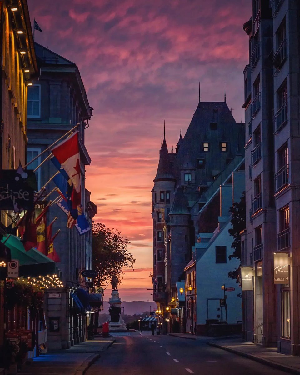 mtltips tweet picture
