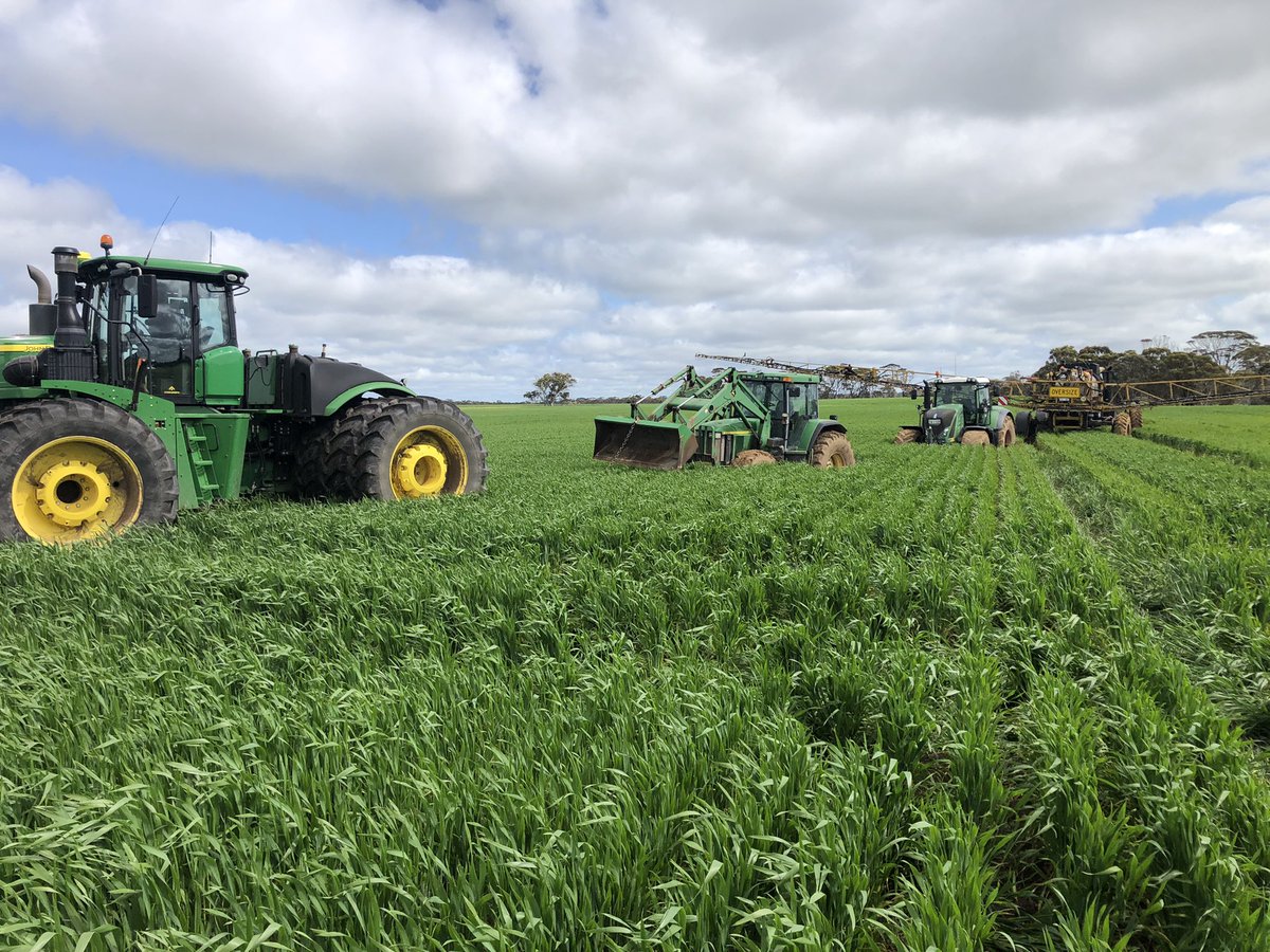 Carl Letter tweet media