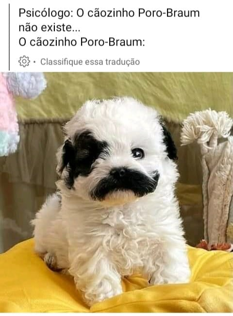 pedroskelter's tweet photo. bom dia meus porozinhos
hoje é o ULTIMO dia para eu permanecer no TOP 3  da @NimoTV_Brasil 
conto a ajuda de toda a nação! Acredito que vamos conseguir.
Nós somos maiores! #FlaNaNimo #gofla 
Espero vocês lá: https://t.co/g0aWQ2Qhc2 https://t.co/q56cXrlov0