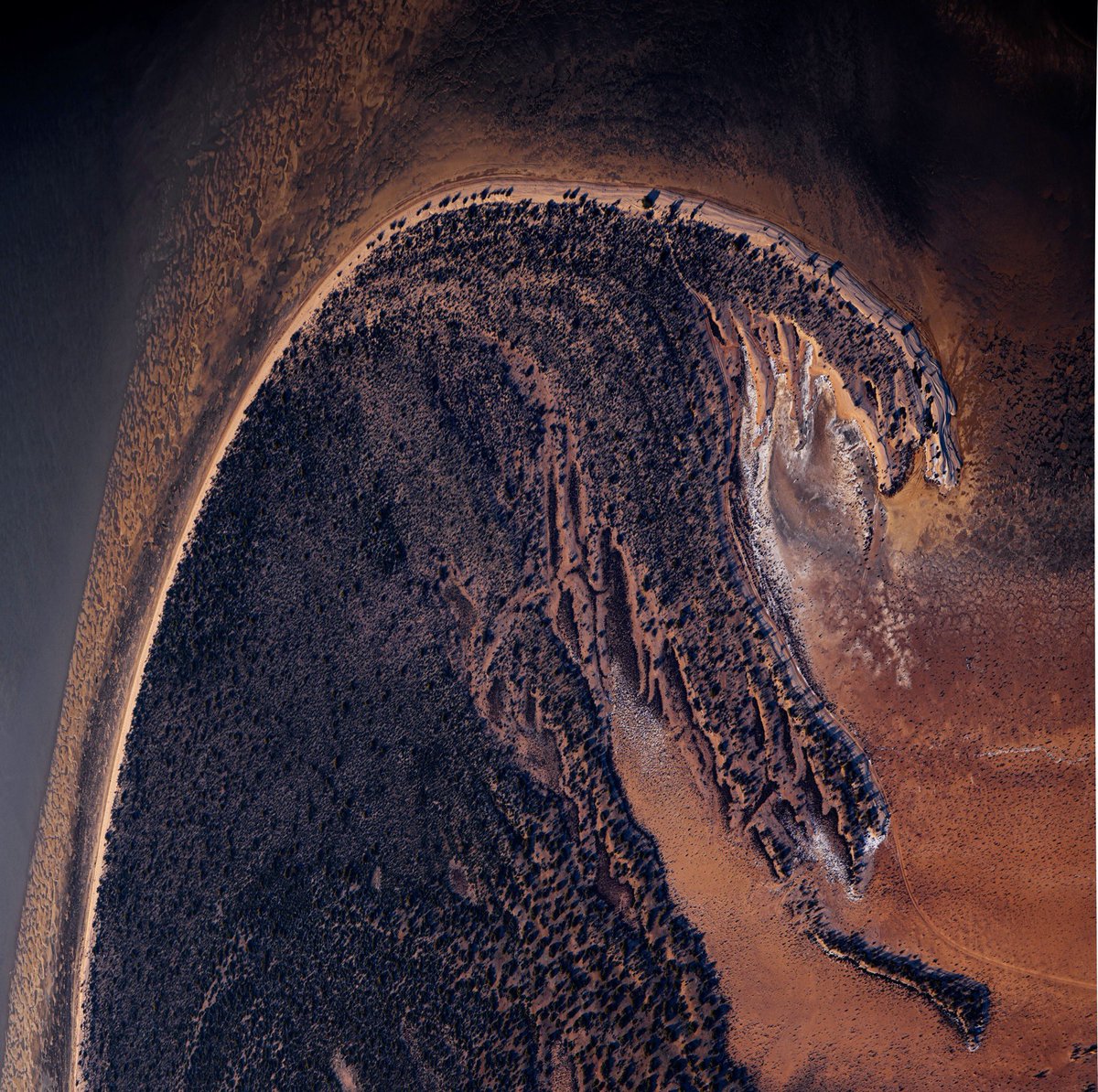 hamishstubbs's tweet photo. From a recent aerial photography trip to Shark bay I nabbed this abstract, what creature can you see?
#landscapephotography
#photography https://t.co/pW6ojGT5Vj