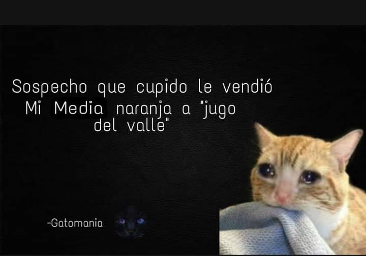 Lineth Mejia Martinez tweet media
