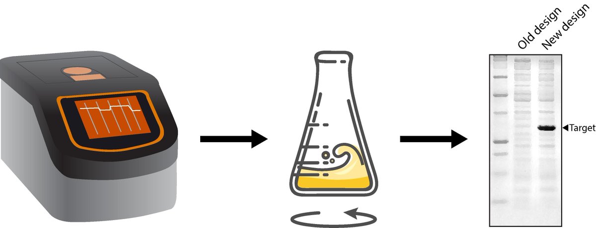 NEW: Implementing Novel Designs in pET Expression Plasmids that Increase Protein Production
bio-protocol.org/e4133

by @PatShilling and <a href="/DanielD60849019/">theDaleyLab</a>
#biochemistry #protocol <a href="/Stockholms_univ/">Stockholms universitet</a> <a href="/CommsBio/">Communications Biology</a>