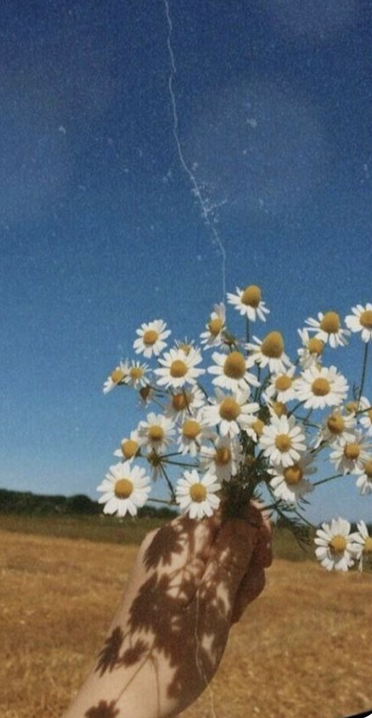 FleurandArbor's tweet photo. Did you see our #SelfLoveKit? https://t.co/bzqH1qG90a #fleurandarbor #creativity https://t.co/bHefqVAU4c