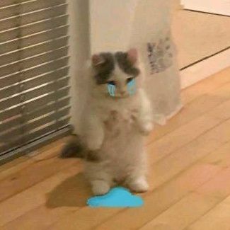 MinSlayer's tweet image. THIS MAKES ME EMOTIONAL