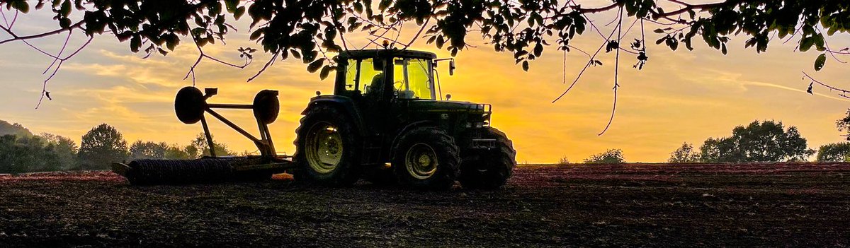 cottagebeyond's tweet photo. Summer down on the Farm - https://t.co/k1AEDV2hM2 https://t.co/0agyGmyMJc